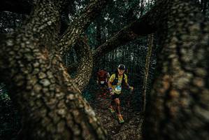 BIB: 
                            <button type="button" onclick="openModal(25679701)" class="btn btn-primary btn-sm float-right btn-popup" data-toggle="modal" data-target=".modal-high-quality">
                        <i class="fas fa-shopping-cart"></i> Add to Cart
                    </button>
                                            <button type="button" onclick="isThisMe(25679701, true)" class="btn btn-success btn-sm float-right btn-popup btn-isme hidden" data-toggle="tooltip" data-placement="bottom" title="นี่คือรูปของคุณใช่ไหม คลิกที่นี่เพื่อเอาเข้าอัลบั้ม">
                        <i class="fas fa-plus"></i> Add to album
                    </button>
                    <button type="button" onclick="isThisMe(25679701, false)" class="btn btn-warning btn-sm float-right btn-popup btn-isnotme hidden">
                        <i class="fas fa-ban"></i> Remove from album
                    </button>